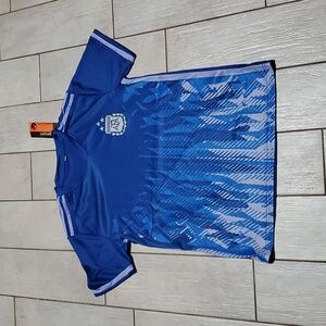 Asociacion del Futbol Argentino Men's Medium Blue with Design T-shirt